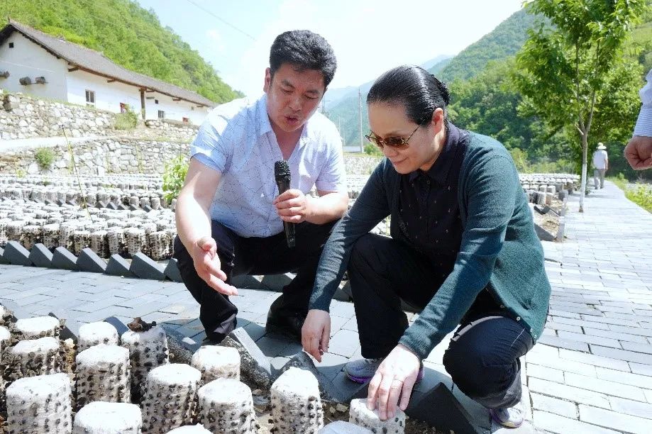 鍥撅細(xì)鍦ㄤ咕浣戣閬撹濺瀹舵渤鏉戯紝璧甸洴涓？瀵熺湅鏉戦噷鐨勬湪鑰崇妞嶅熀鍦般？